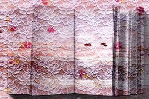 Illusion, ein offenes Buch