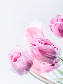 Blumenstrauß aus zartrosa Tulpen. Minimalistische Blumenkunst von Jelena Jovanovic Fine Art