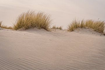 Duinen kust van Fotografie-Broenink