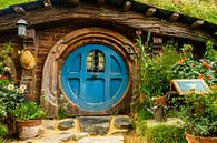 Gemütliches Hobbit-Haus mit blauer Tür mit Fenster, Neuseeland von Paul van Putten Miniaturansicht