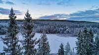 Natuurgebied in zweden von Fields Sweden Miniaturansicht