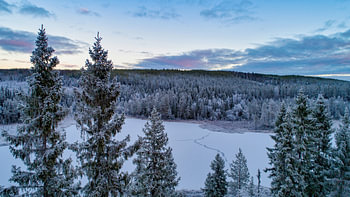 Natuurgebied in zweden