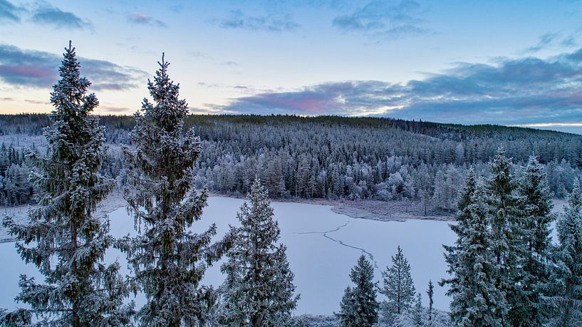 Natuurgebied in zweden van Fields Sweden