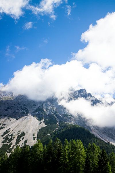 Alpine - 9 by The world up close