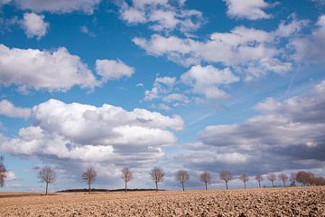 Landschap met wolken en bomen in de winter van Ulrike Leone