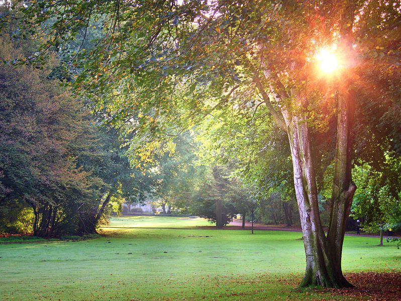 Parkeren 's morgens 1 van Edgar Schermaul