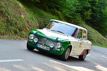 Alfa Romeo Giulia 1600   Eggberg Klassik 2019