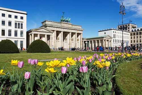Brandenburger Tor met tulpen