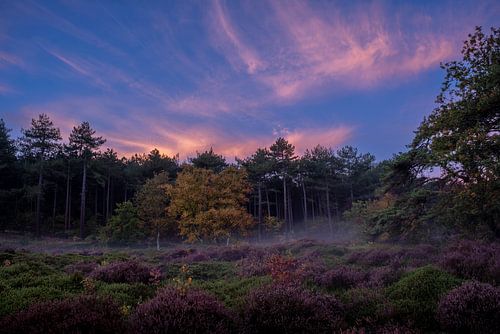 Morning glow over the moors