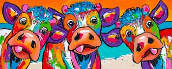 Drie komische Koeien bij Zonsondergang