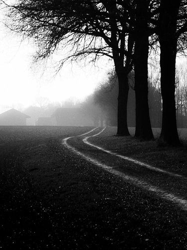 Der Weg von SappiesPhoto