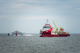 Teunis Huibertus by Jan Georg Meijer