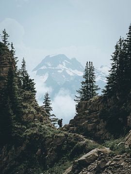 Hiker in the Swiss Alps by Teun de Leede