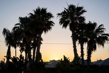 Nightlife in Syracuse by Michelle van Merrienboer