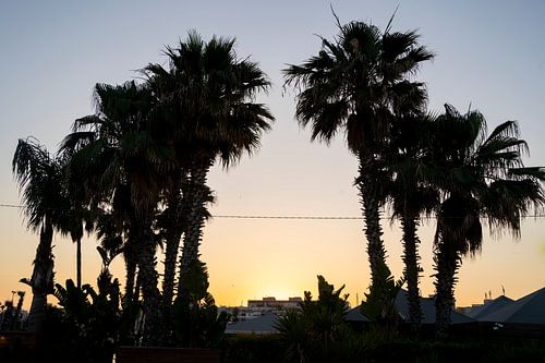 Nightlife in Syracuse