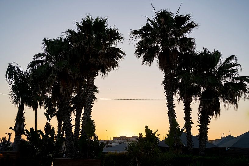 Nightlife in Syracuse van Michelle van Merrienboer