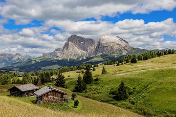 Alpe di Siusi, Dolomites by Dirk Rüter