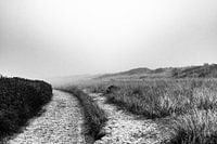 Duneroad