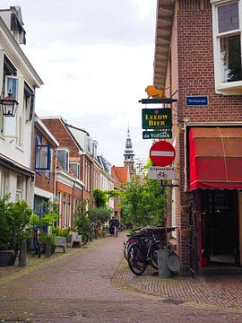 Haarlemer Pentagon