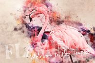 Flamingo - Welcome to the tropics! van Sharon Harthoorn thumbnail