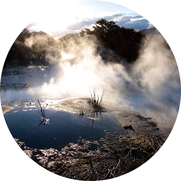 Warmwaterbron in Rotorua, Nieuw-Zeeland van Christian Müringer