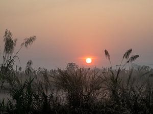 nebliger sonnenaufgang