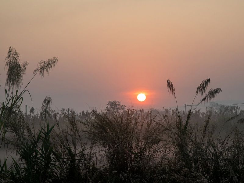 mistige zonsopgang van Alex Neumayer