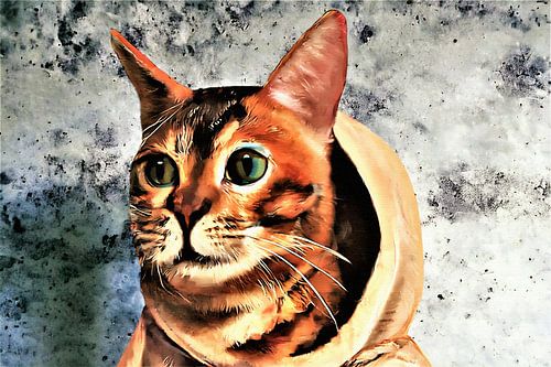 Hoody kat in de betonnen jungle