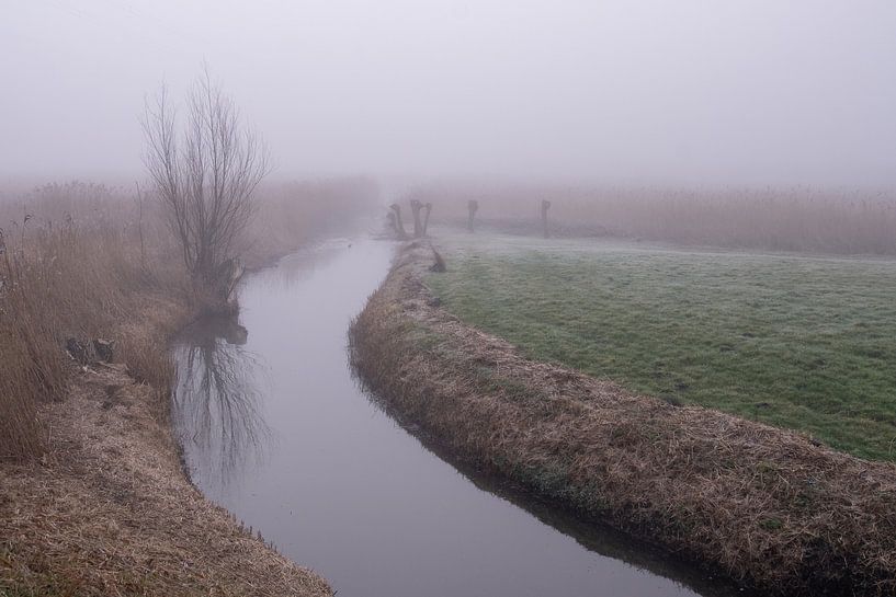 Nebliger Morgen in der Holle Mare von Annemieke Klijn