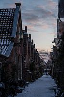 Winter in Alkmaar