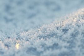 Snow crystals in the evening light by Besa Art