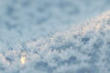 Sneeuwkristallen in het avondlicht van Besa Art