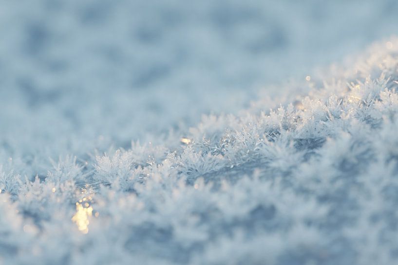 Cristaux de neige dans la lumière du soir par Besa Art