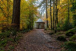 Autumn in Scotland by WendyVliegt
