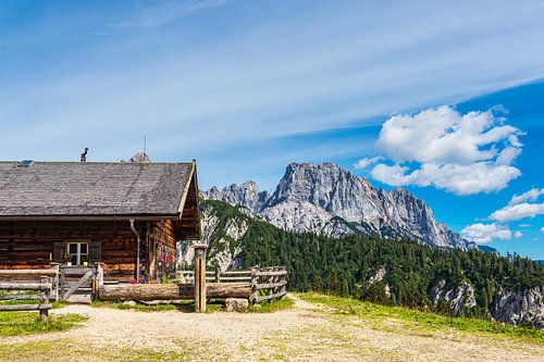 Uitzicht op de Litzlalm met hut in de Alpen in Oostenrijk