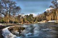Winter im Hain