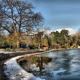 L'hiver dans le bosquet sur Gallery