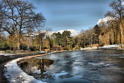 L'hiver dans le bosquet