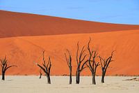 Deadvlei