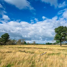 Landschap Doldersummerveld Drenthe van Mario Brussé Fotografie
