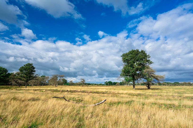 Paysage Doldersummerveld par Mario Brussé Fotografie