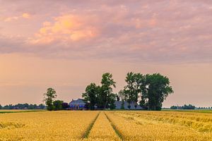 Die Groninger Landschaft bei Thesinge