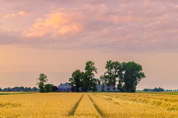 Het Groninger landschap bij Thesinge van Henk Meijer Photography