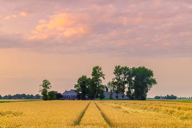 The Groningen landscape near Thesinge by Henk Meijer Photography