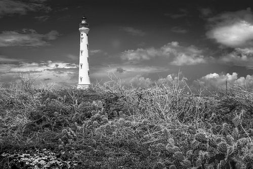Vuurtoren op het eiland Aruba / Caribisch gebied. Zwart-wit beeld.