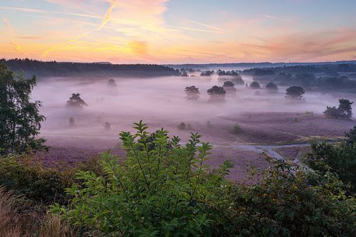 overzicht over de brunssummerheide