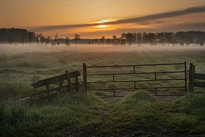 Ein nebliger Sonnenaufgang in der Betuwe