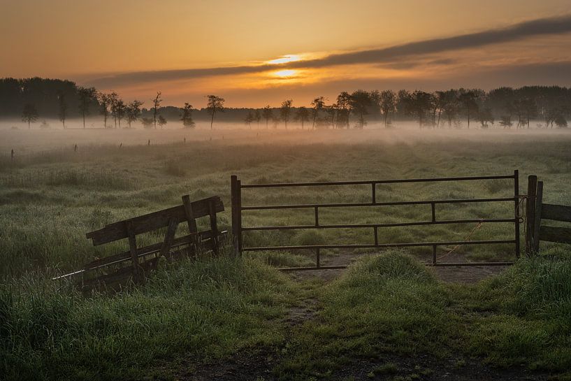 Ein nebliger Sonnenaufgang in der Betuwe von Anges van der Logt
