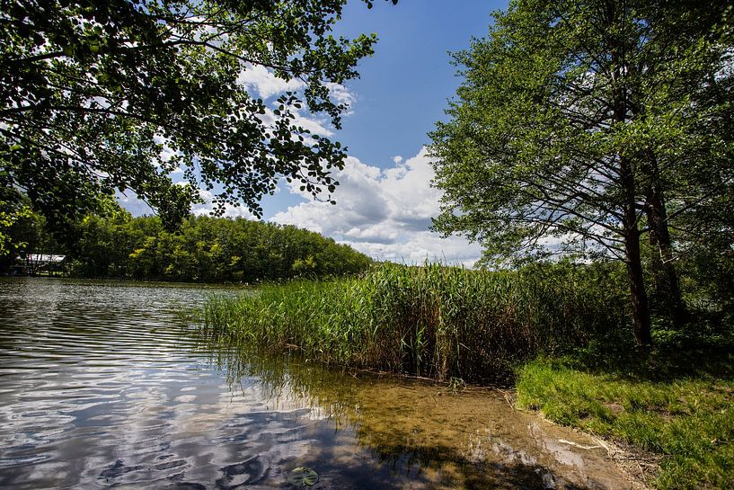 Lac de Scharmützel à Buckow, Brandebourg par Winne Köhn