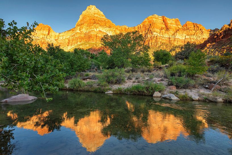 Watchman Mountain at sunrise in Zion National Park by Markus Lange